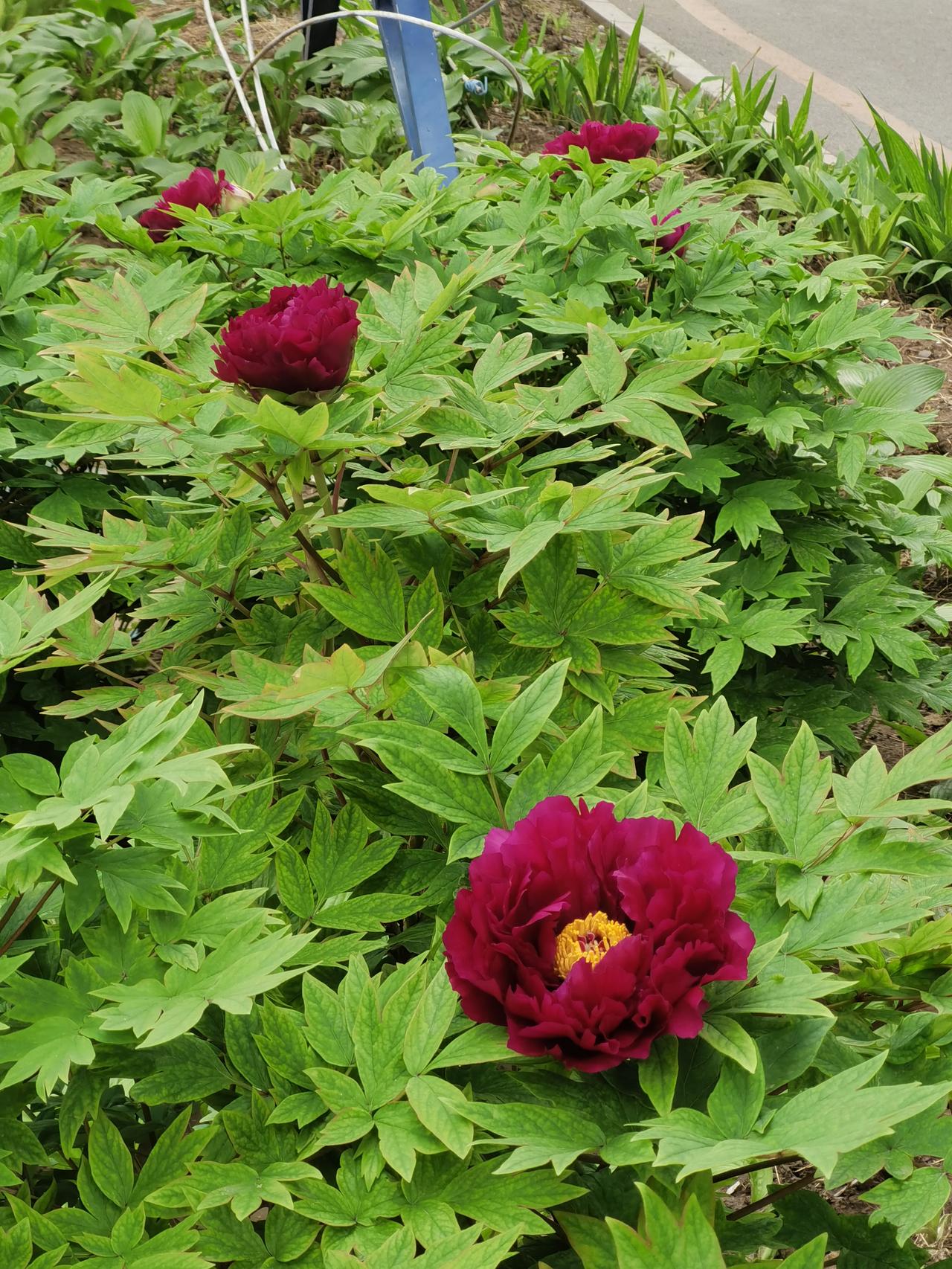 就我做个案辅导的经验，几乎没有应届生，是抱着为人民服务的热情，或者出人头地的也信