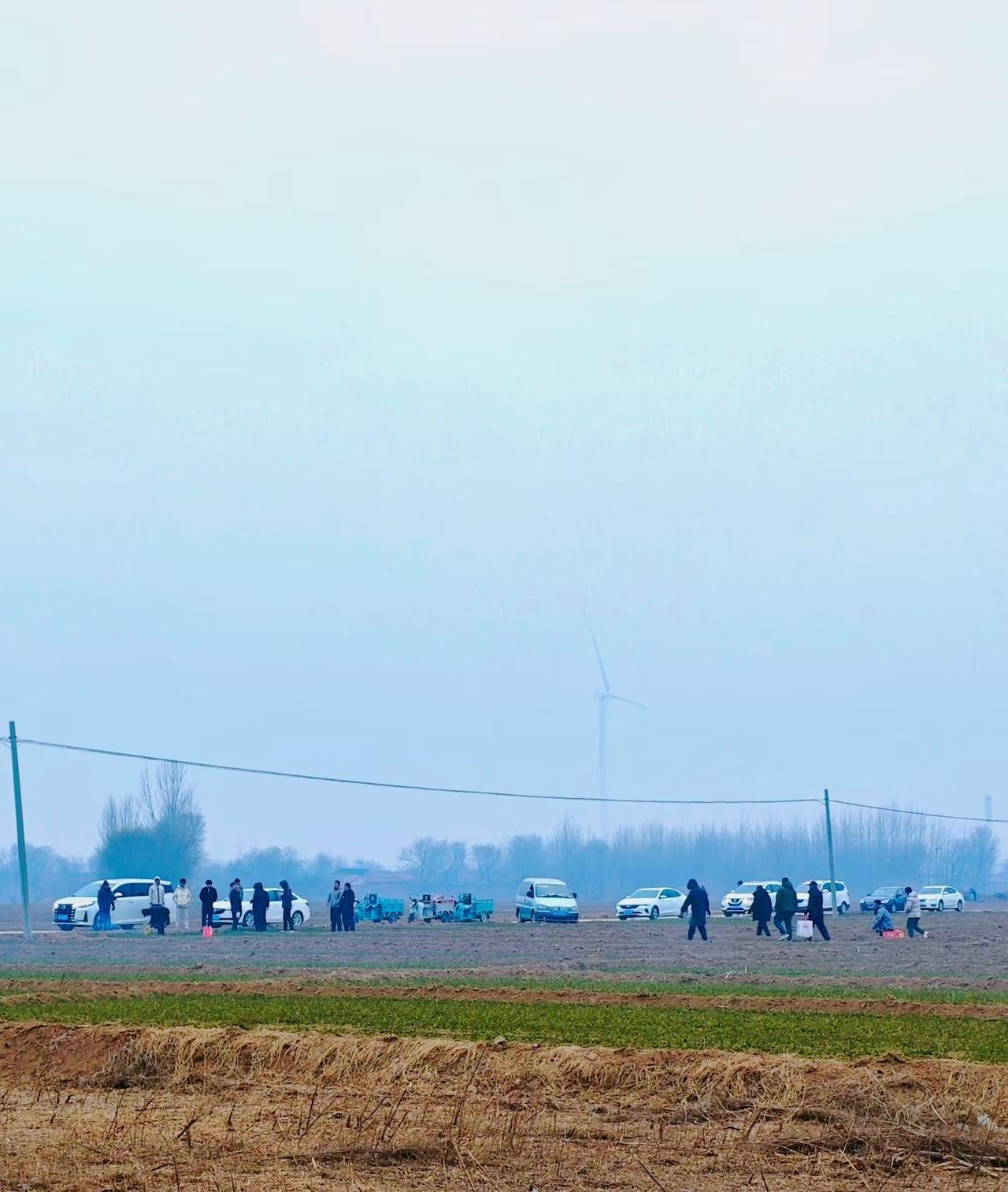 ：）
世界上最轻松的关系是对自己有要求，对别人少要求。利益第一，感情倒数第一。一