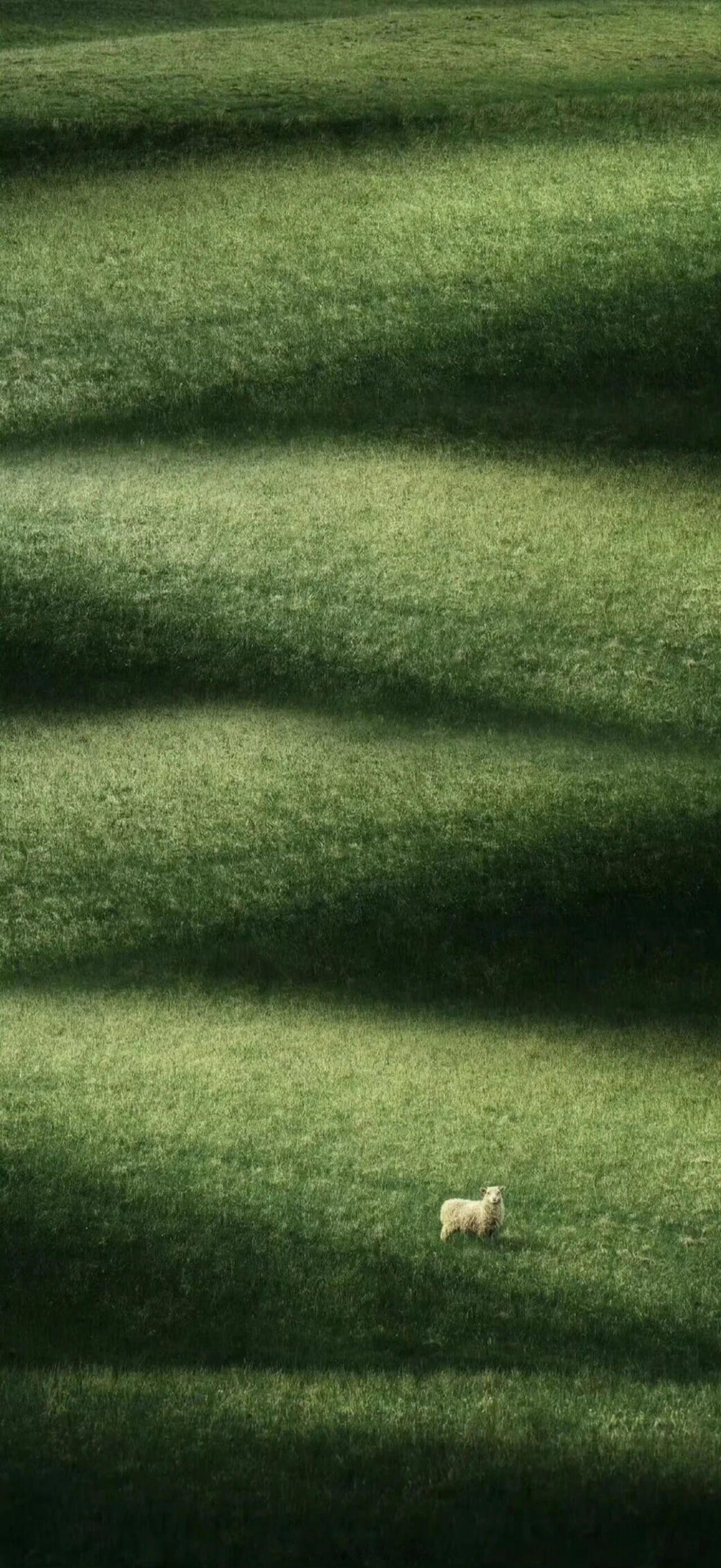 我生命里有磅礴的绿，终成哗然的春。——季羡林《八十述怀》早安