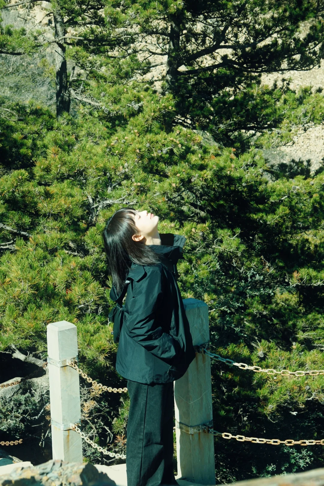 在森林拍到了超有生命力的照片！