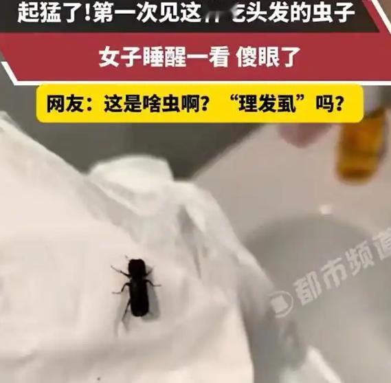 防不胜防！秦女士深夜熟睡时毫无察觉，次日清晨醒来，明显感觉到脸上、脖子上发痒不适