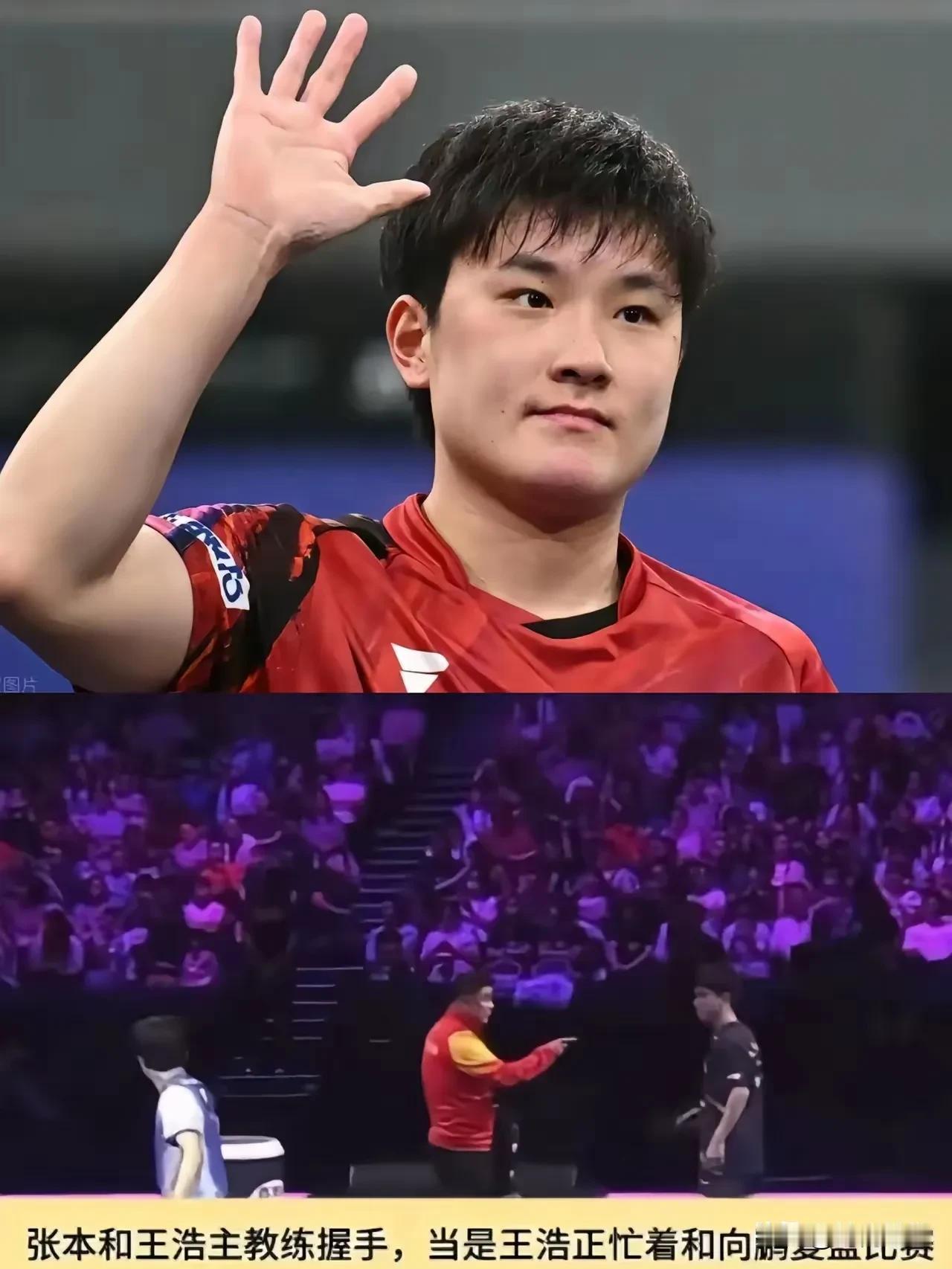 张本智和为什么不满王皓握手敷衍并向教练告状？
所谓有其父必有其子。人的性格有百分