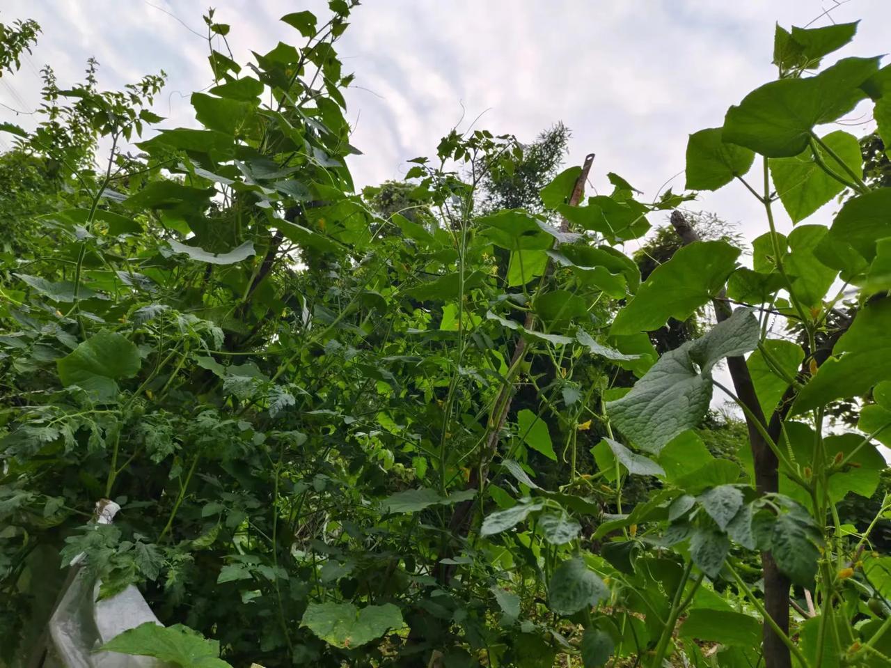 记得有一次，我在外面遭遇了重大的挫折，心情低落到了极点。

我拖着沉重的脚步回到