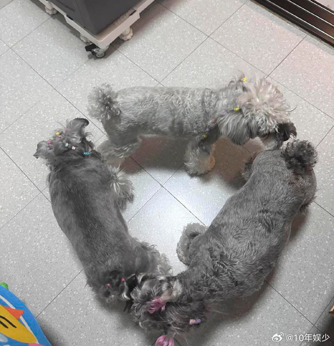 众所周知，三角形具有稳定性 ​​​