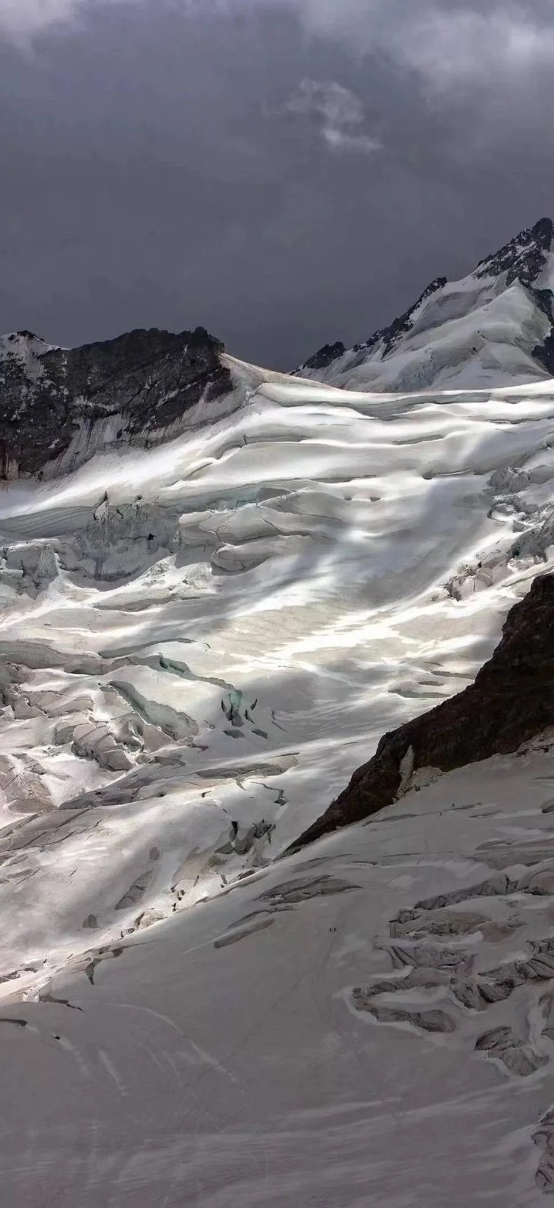 老规矩，睡前一更。明日甲辰  丁卯  壬申，凑凑合合的一个日课，那就要缝缝补补了