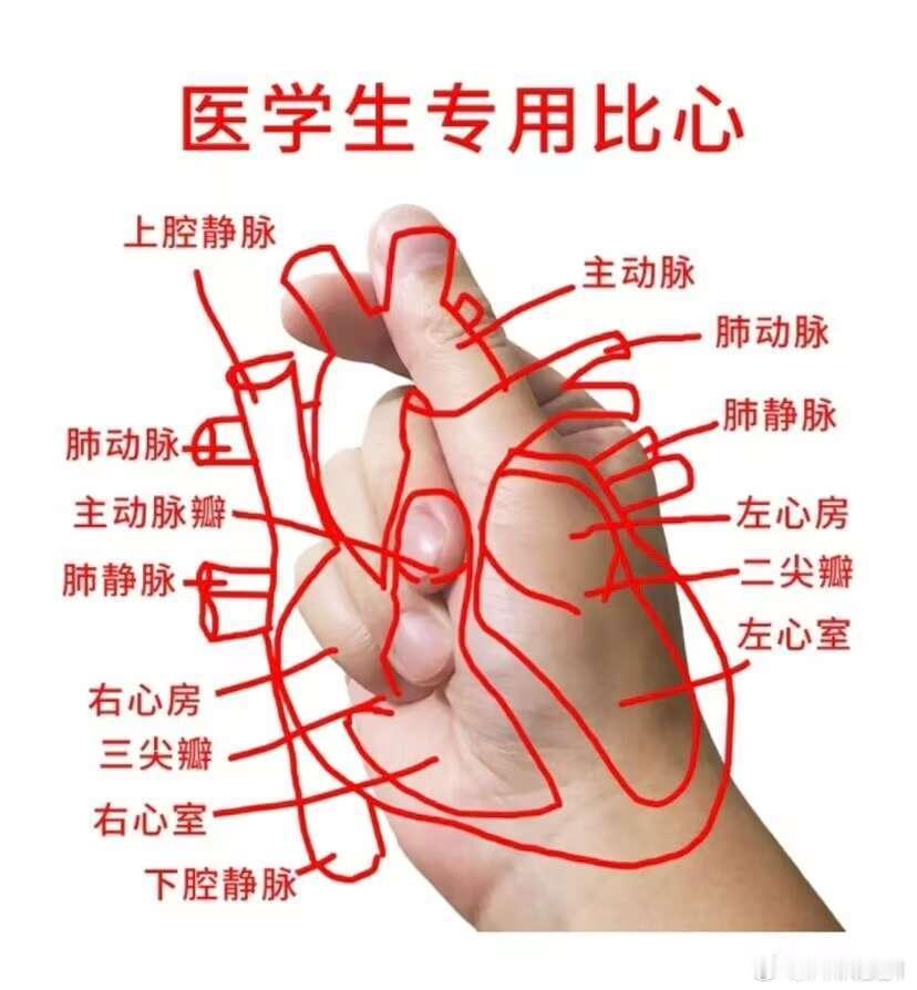 能感觉到最近发烧的娃挺多的，约饭群里已经三个闺蜜问我明天能不能替班了……但我也没