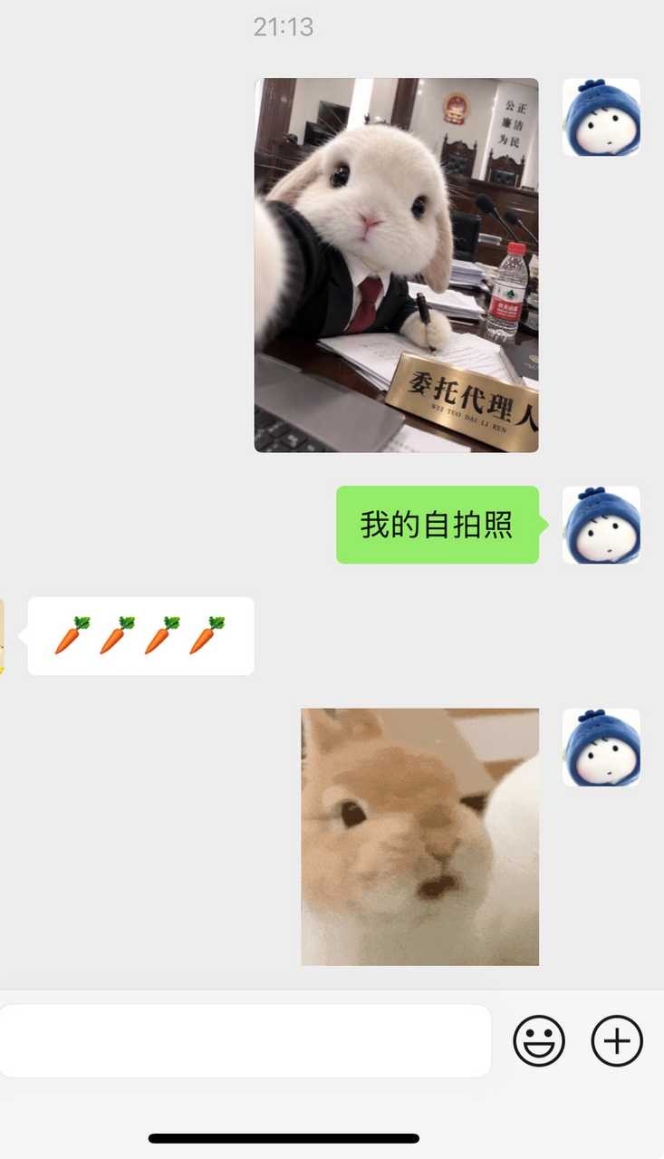 今天猫猫的人设是兔子饲养员 ​​​