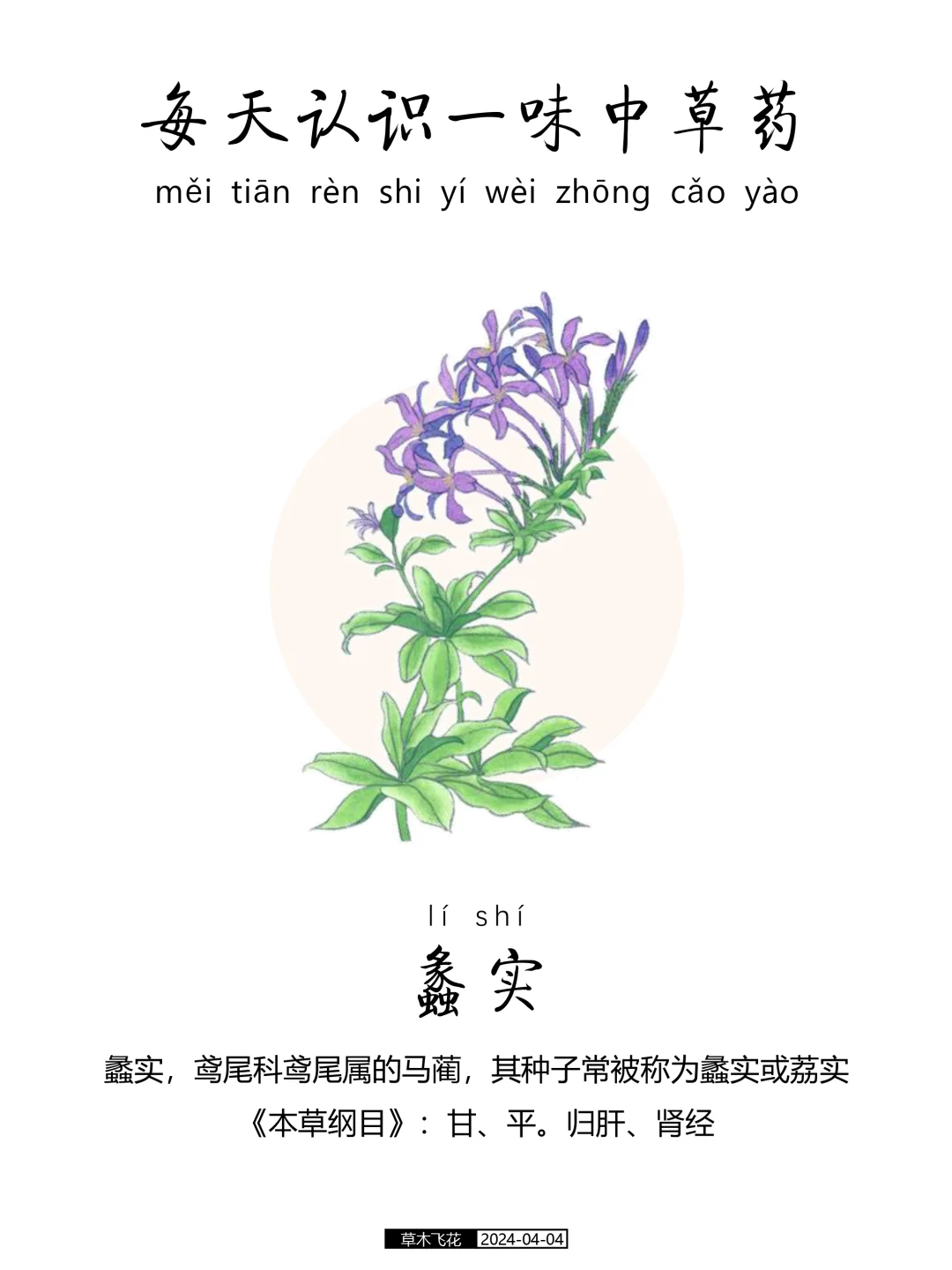 每天认识一味中草药-蠡实🍀