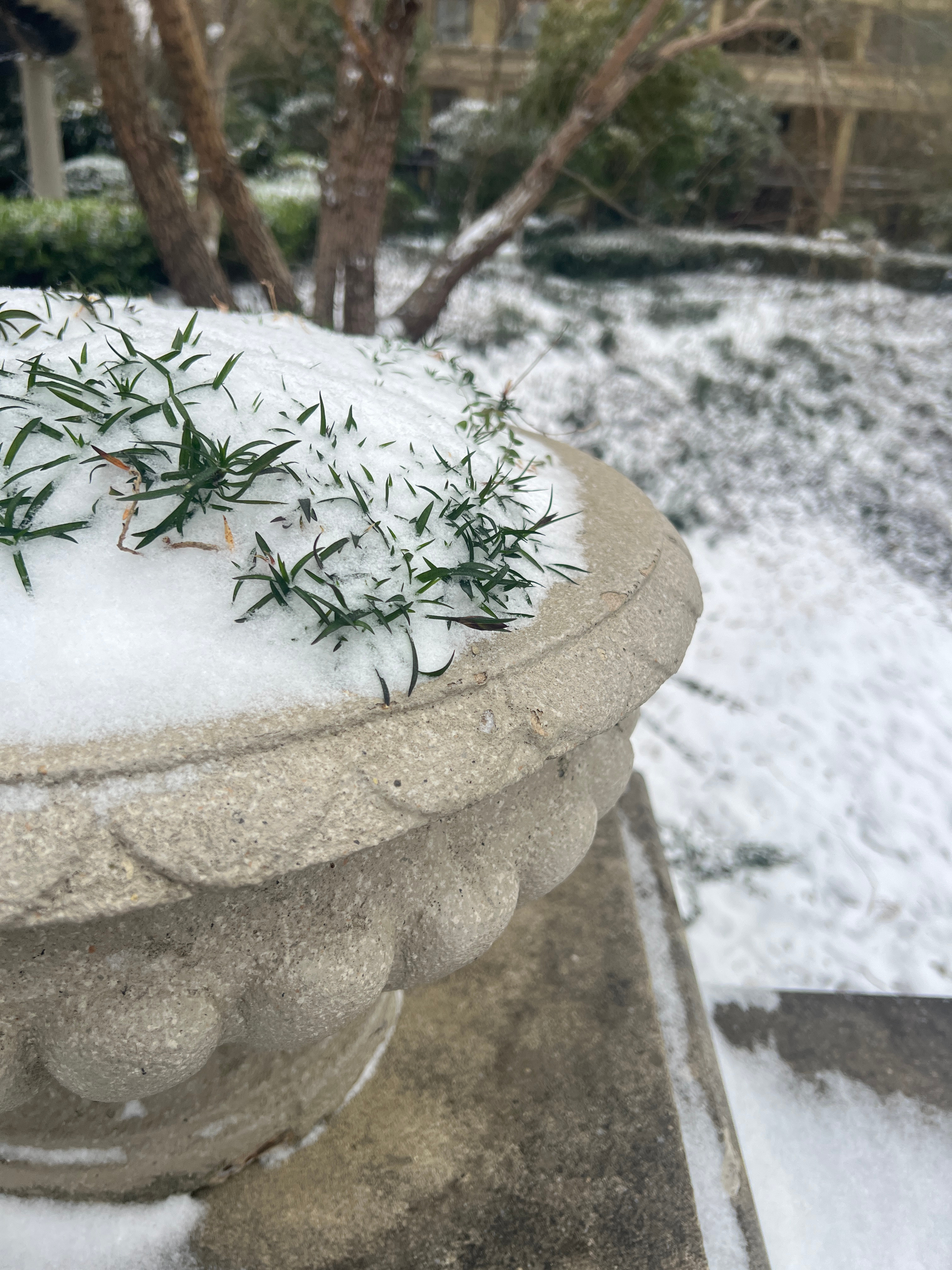 一觉醒来南京下了这么大的雪❄️路上厚厚一层积雪走在上面软绵绵像毛毯巨有安全感😆