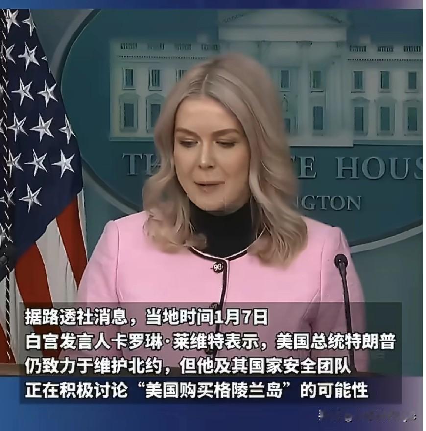 美国收购格陵兰岛最新进展及后续发展的可能性选项
格陵兰岛谈判的最新焦点在于美方下