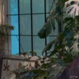 没有谁愿意放弃一个爱了很久的人，只是冷漠和敷衍多了，失望和酸楚也攒够了，不是不爱