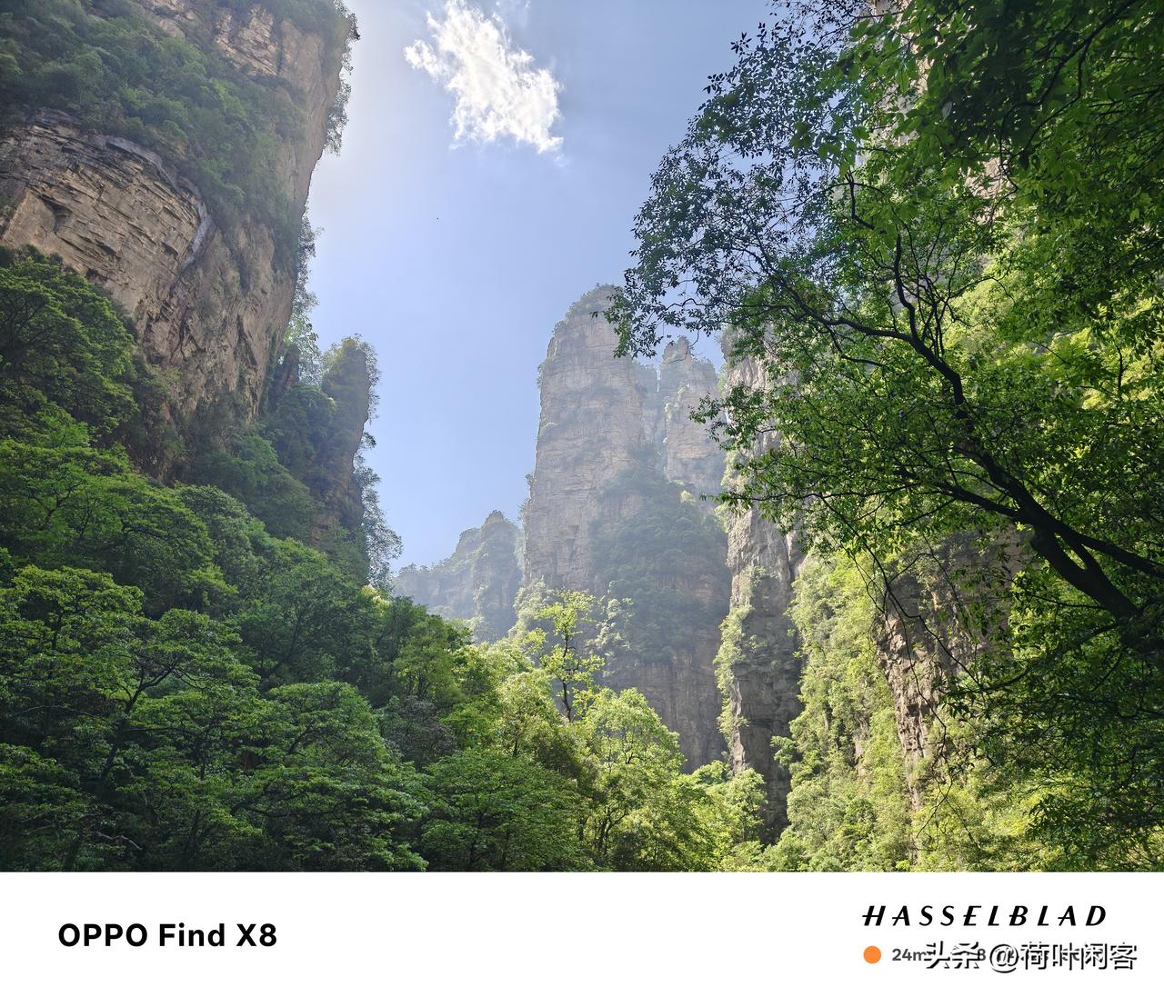 张家界路景随手拍
原创美景随手拍 秋日风光随手拍 公园风光随手拍 街道风景随手拍