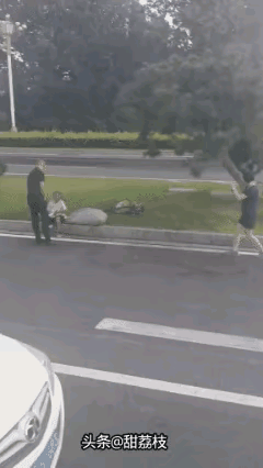 没看明白这是怎么回事儿，感觉这个画面非常的有意思，有一种螳螂捕蝉，黄雀在后的境界