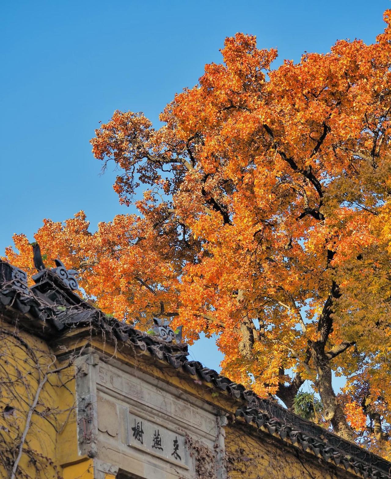 当今社会七大败家行为 1. 嗜赌成性（败家产） 牌桌、赌局上的输赢，看似是数字游