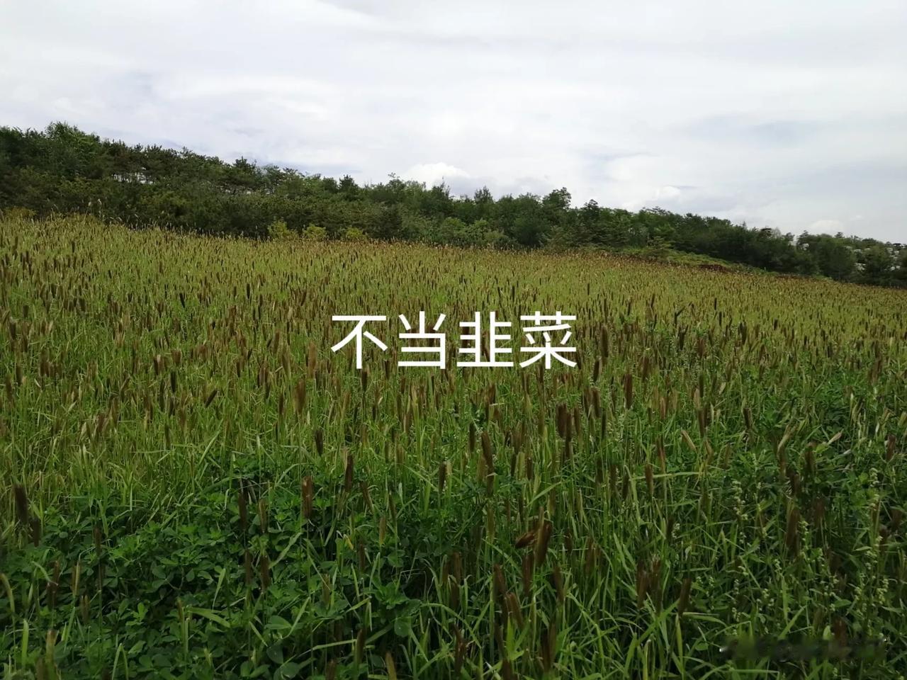 想要炒好股票，必要的实践学习和总结缺一不可。
我身边有个朋友，看到我们炒股赚钱了