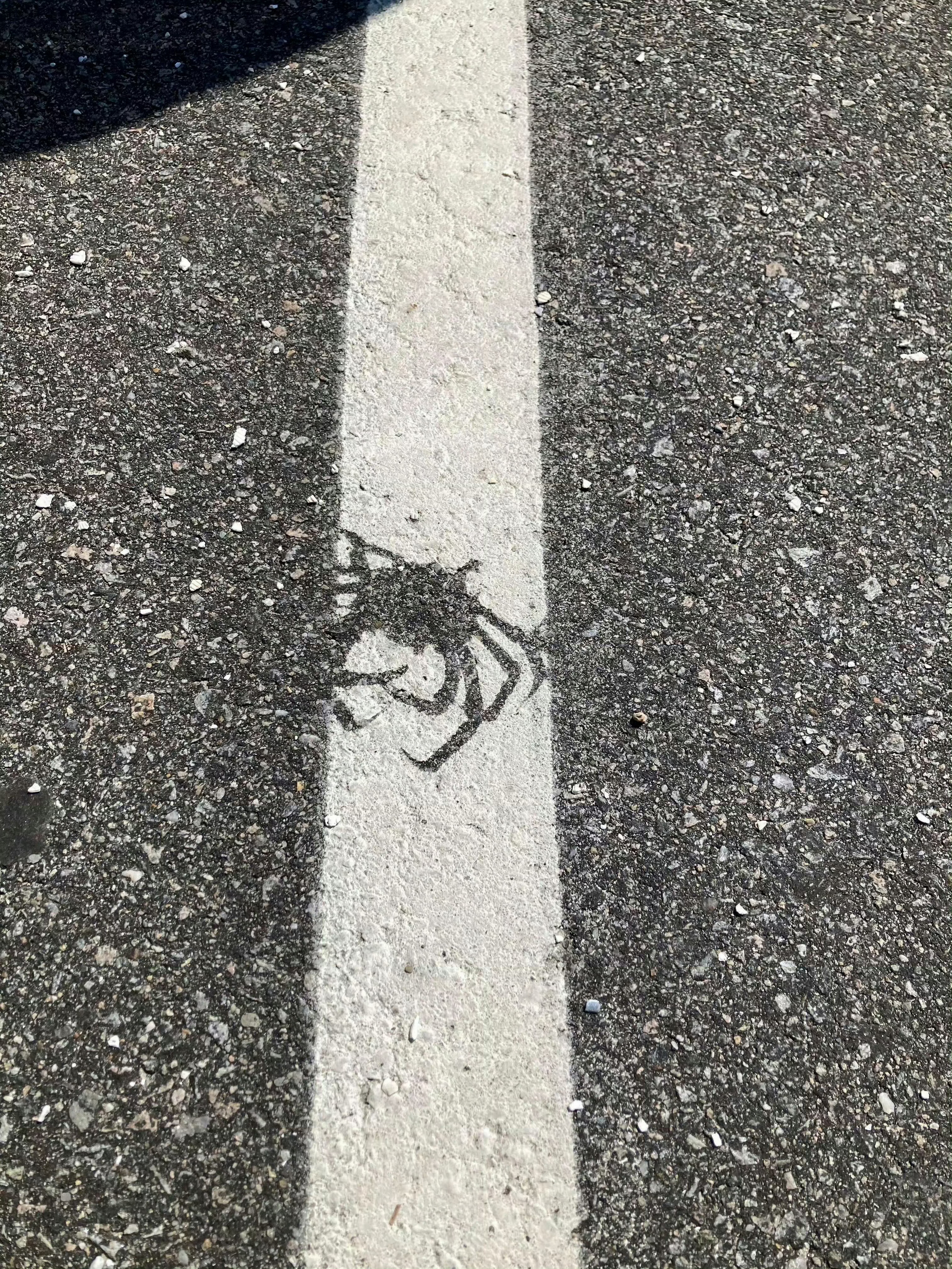 喷地面标线时，一只螃蟹刚好路过🙃 