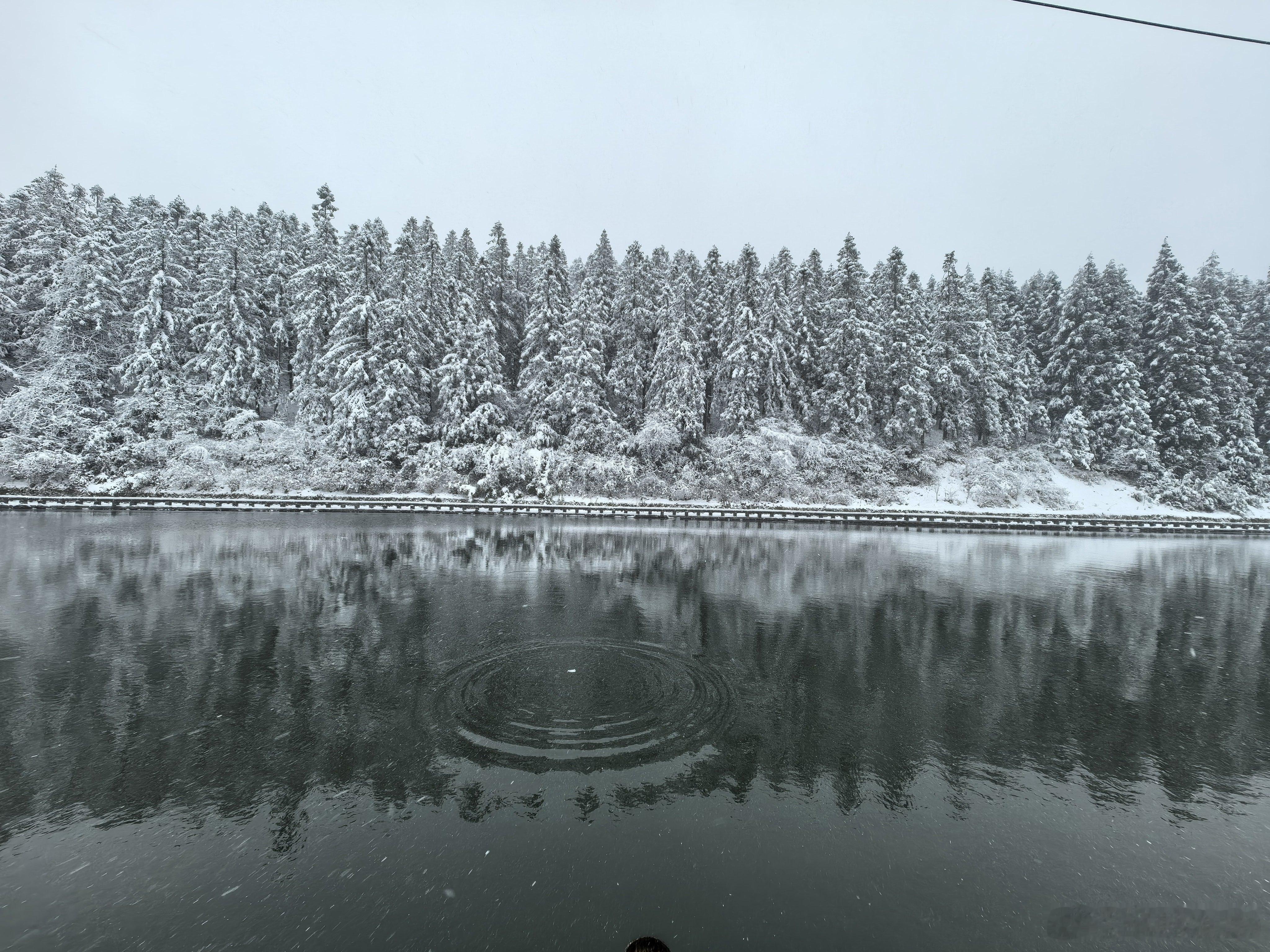 这是重庆，儿豁！ 重庆·仙女山国家森林公园