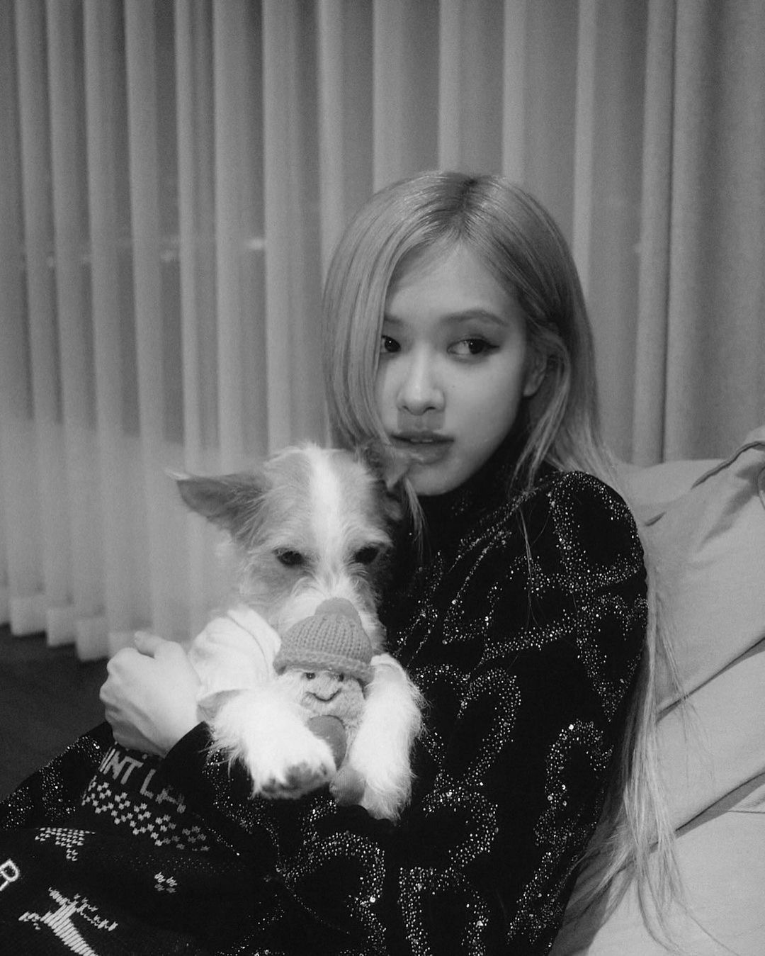 Hank🐶🐶 ​​​