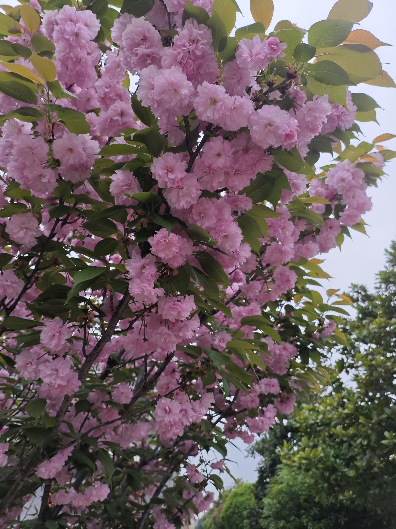 人生最好的状态，是懂得本自具足。
不必向外攀求，不必讨好迎合，你本就拥有圆满的自