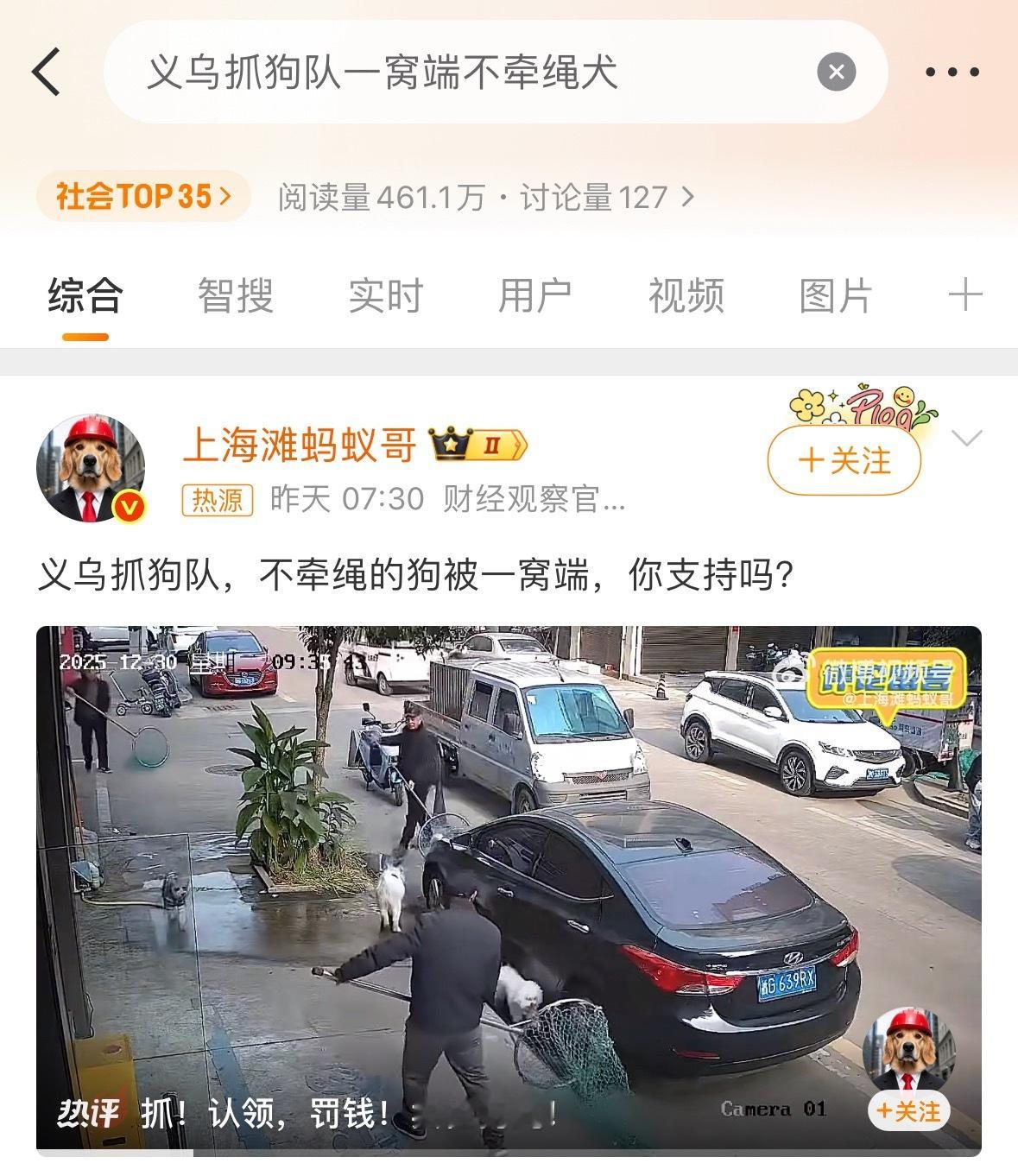 义乌抓狗队一窝端不牵绳犬如果是假的我希望是真的。如果是真的那可就太好了！ 只抓狗