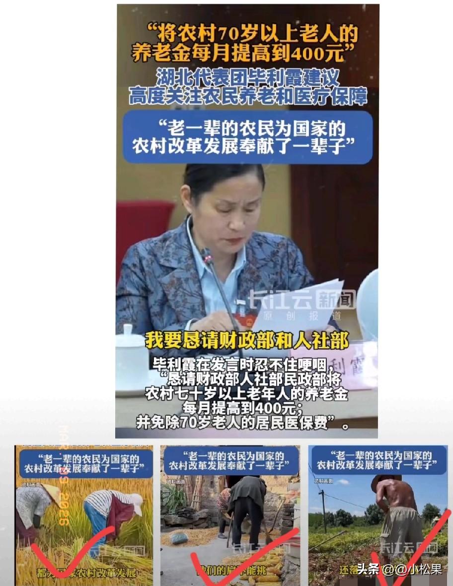 农民朋友们请记住！这位真心为咱们农民发声的人大代表，叫毕利霞。
 
她是湖北监利
