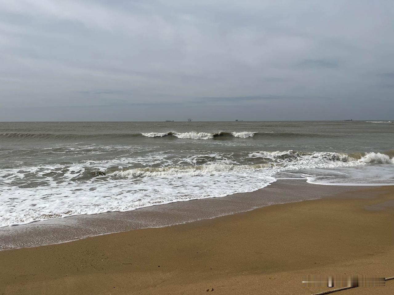 如果有一种人物，数量极少，胃口却大的很。只能他一个在领地里恣意撒欢，特权是他的大