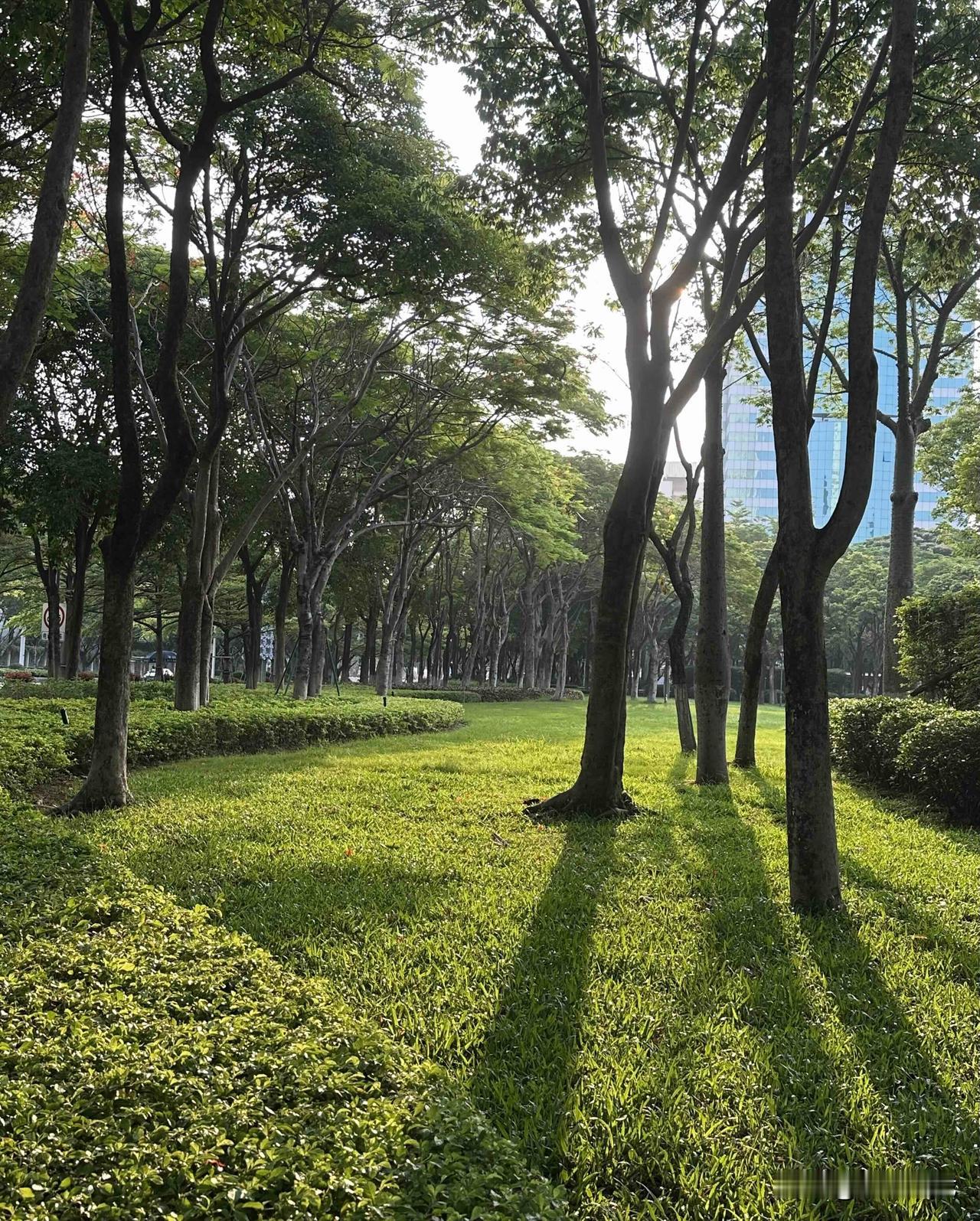 随手拍下初夏美景