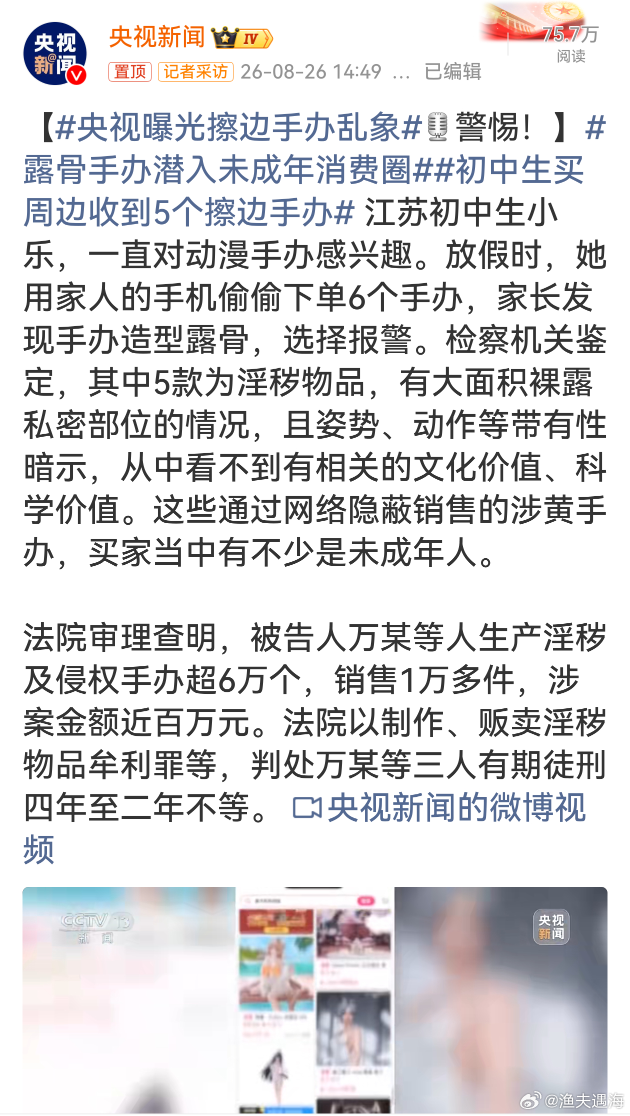 央视曝光擦边手办乱象 别让热爱变伤害，守住二次元的纯粹，更要守住少年的成长底线。