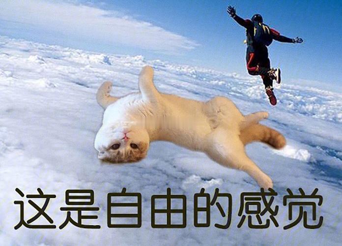 怪不得我们都喜欢睡觉盖被子我还是喜欢果睡！享受自由的感觉！[嘻嘻] ​​​