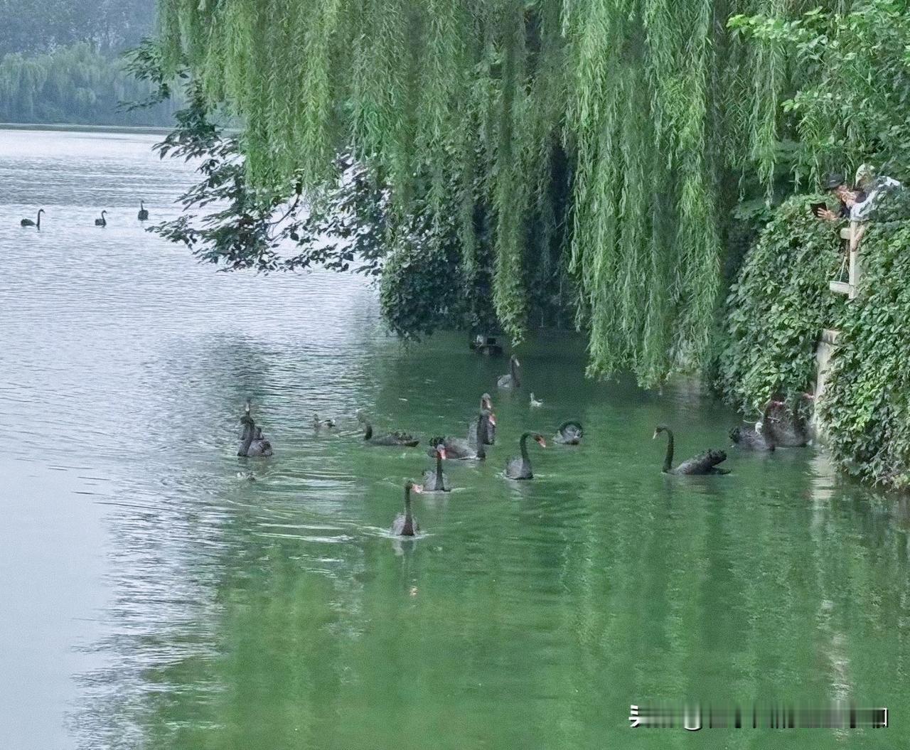 路边老人卖的菜没想象中安全很多人总觉得路边老人卖的农家菜更绿色安全，但自己种菜不