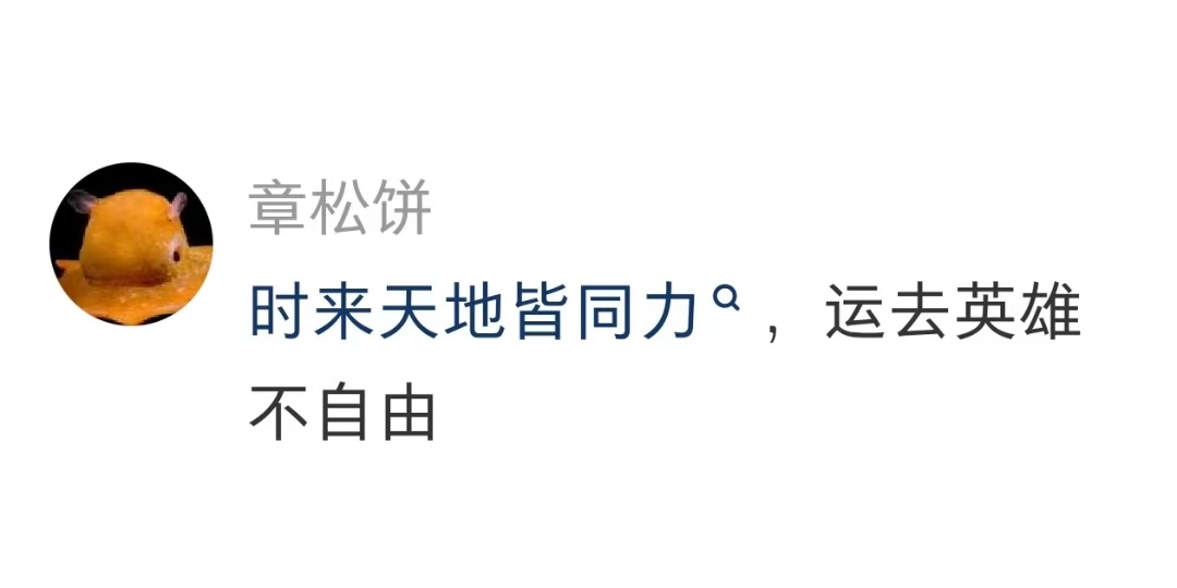 我将永远忠于文字 