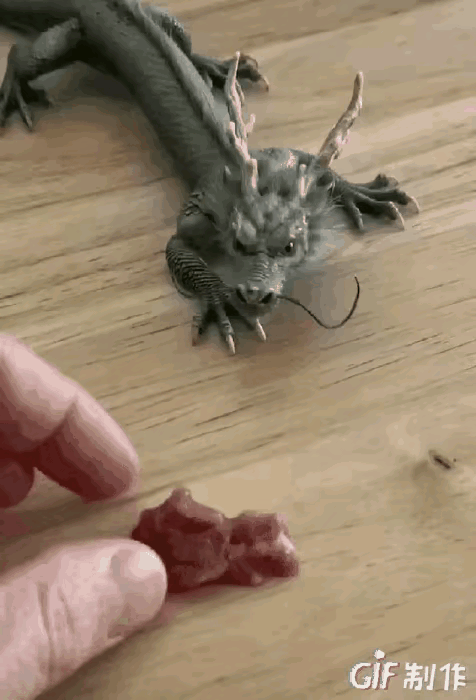 据说，2026年，这是个宠物发展方向。
你不会养一个嘛？[笑哭]