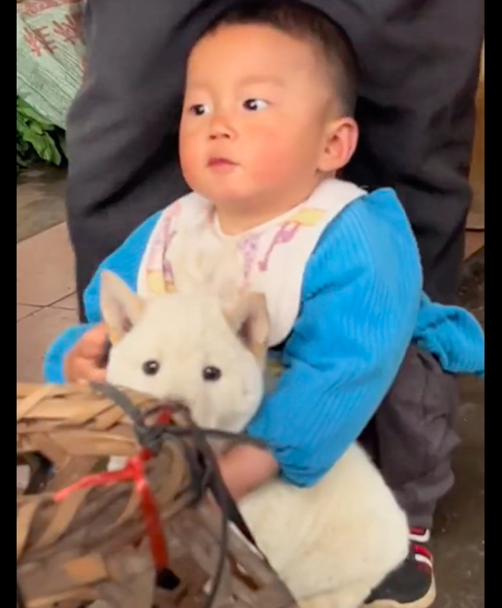 【男孩在狗市抱住一只狗，奶奶怎么劝都不松手，两个清澈灵魂的相遇】4月12日在广西