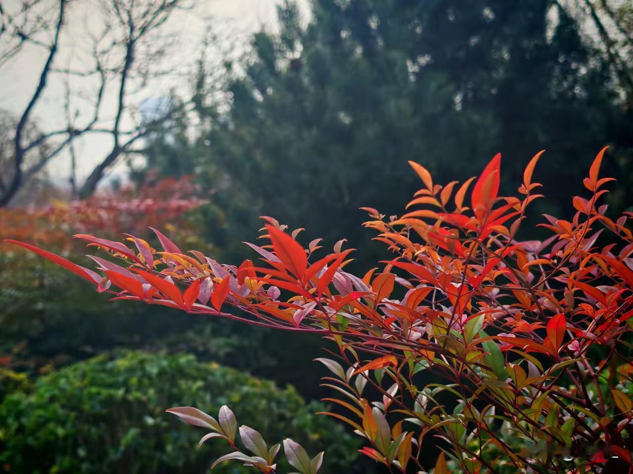 这篇报道讲述了一位20岁的姑娘因误以为流产药成功，将胎儿“流掉”后，意外发现胎儿