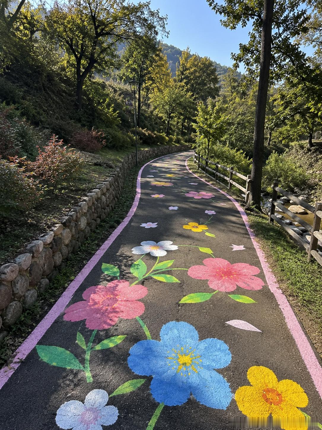 216 这是一条神奇的“花路”～～～ 