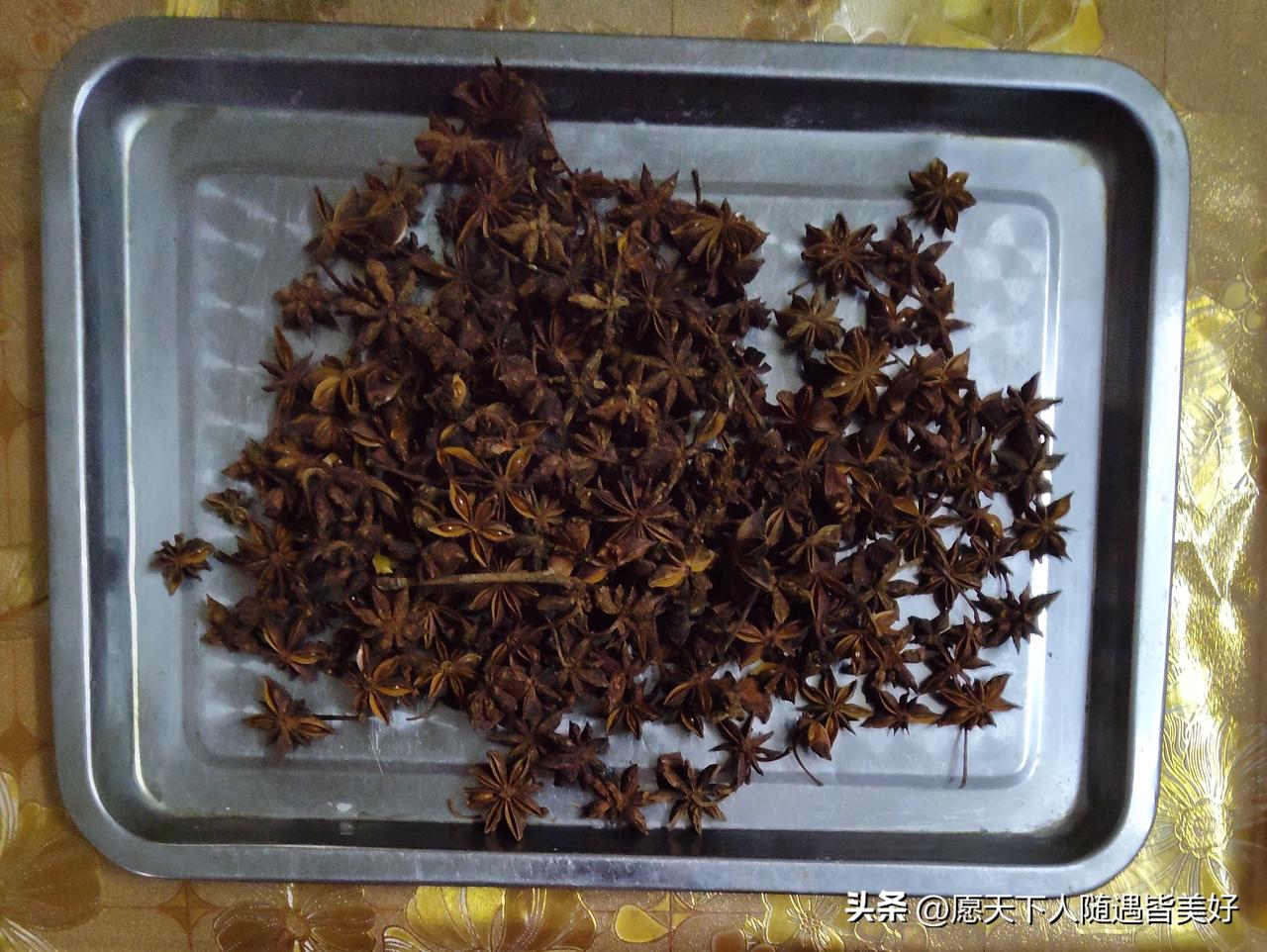 又到了八角收获的季节，我们特别喜欢八角那股清香回甘的味道，我们家连酸坛都要放几颗