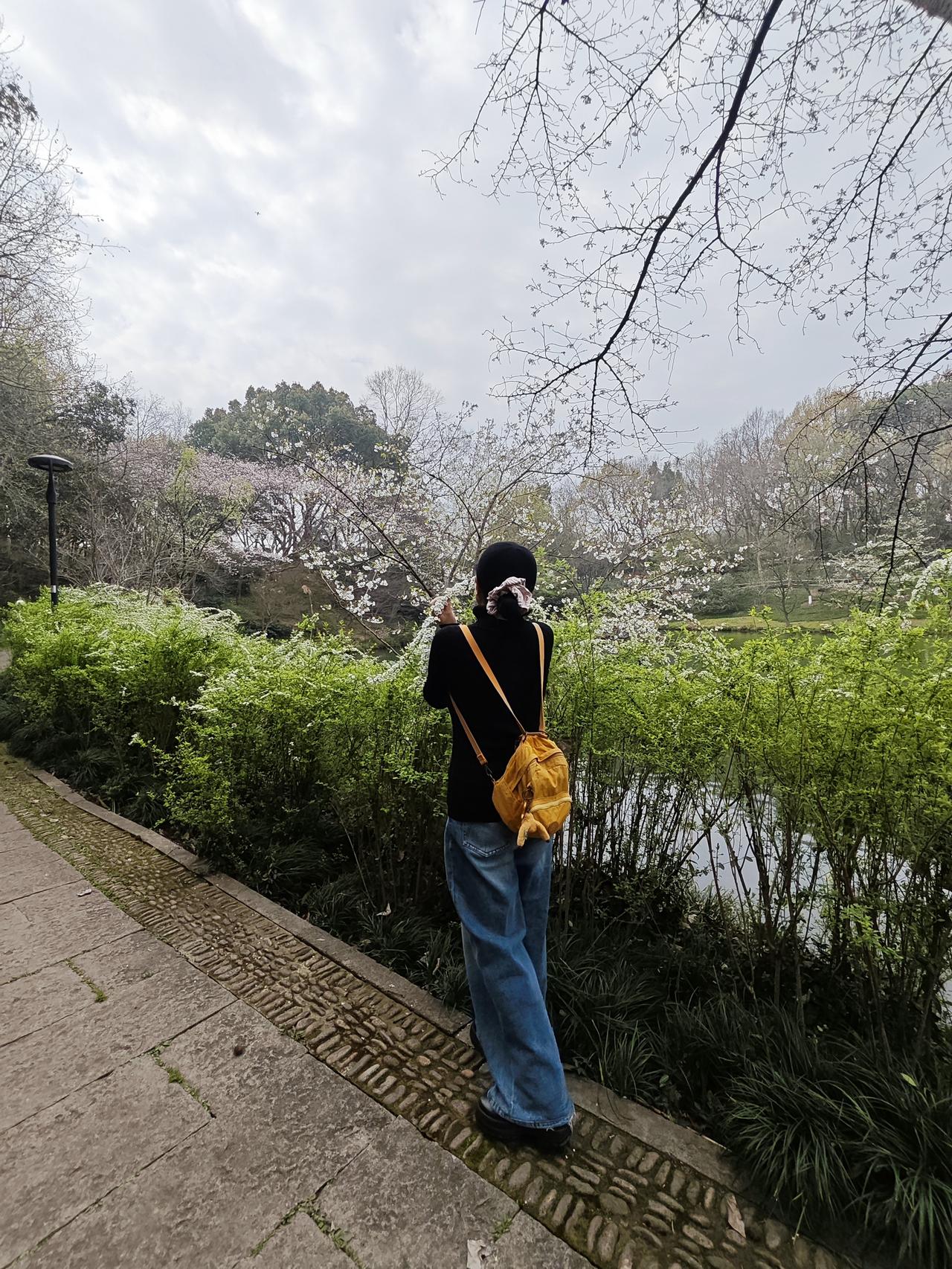 春天来了，万物复苏的季节，来杭州西湖踏青吧，走在苏堤看到乾隆皇帝题字“苏堤春晓”