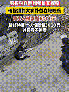 “这次真不怪狗”！3月8日，河南，男孩未经主家同意且在主家不知情时独自来到主家摸