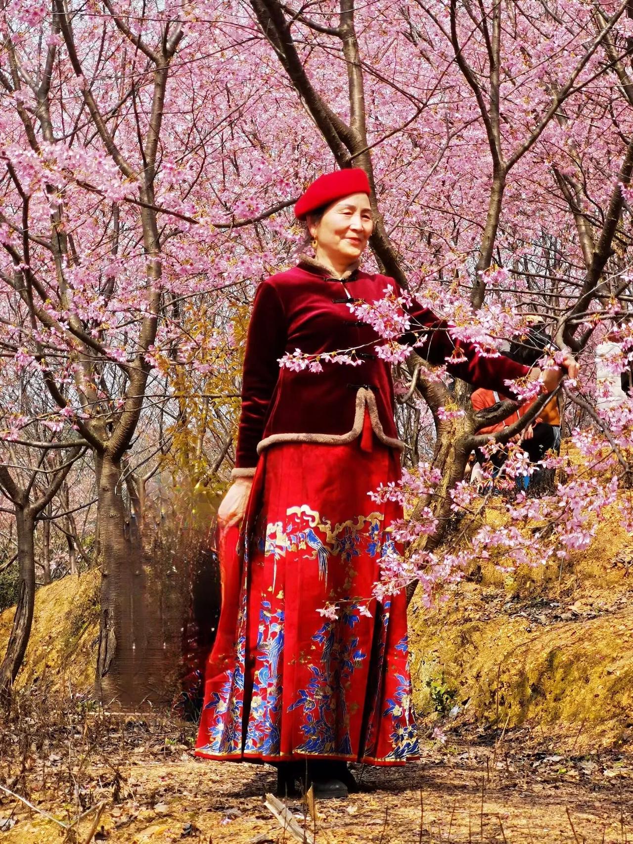 女神节邂逅斗目龙村的浪漫樱花雨[送自己一朵花]女神们在这里，与樱花相拥，感受自然