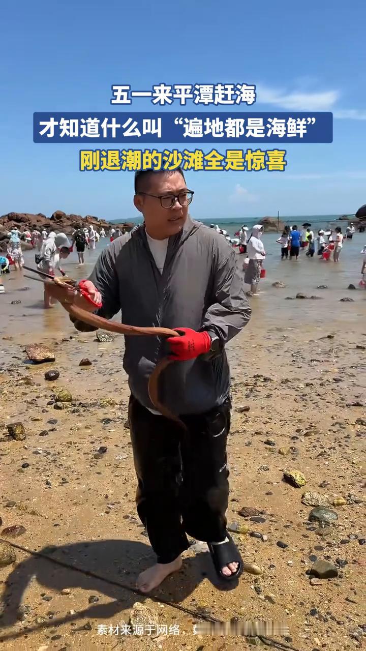 五一来平潭赶海，才知道什么叫"遍地都是海鲜"。
刚退潮的沙滩全是惊喜。
素材来源