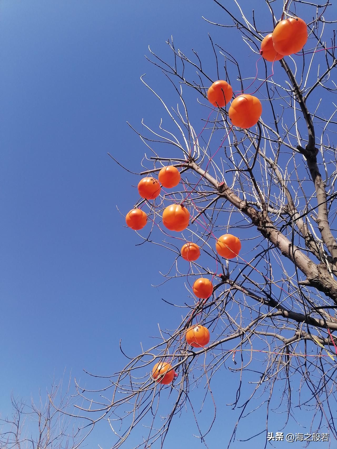 北京今天最高气温3℃，白天西部、北部有小雪或雨夹雪，最高气温3℃，夜间山区有零星