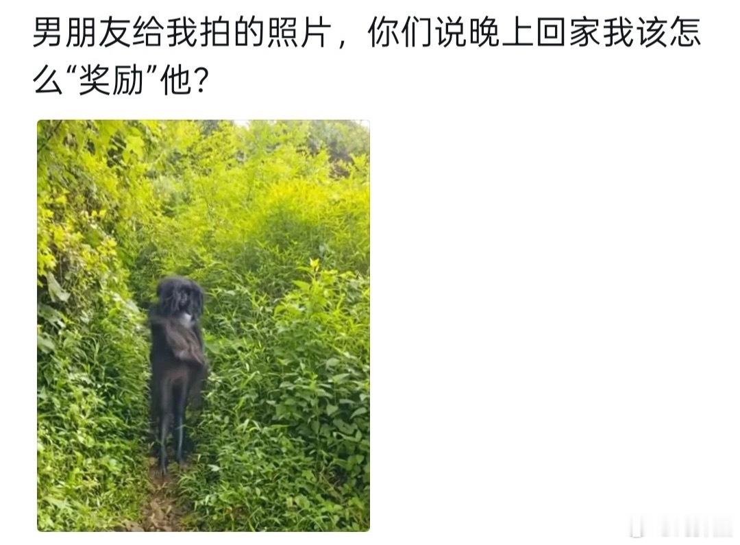 这男朋友不要也罢 