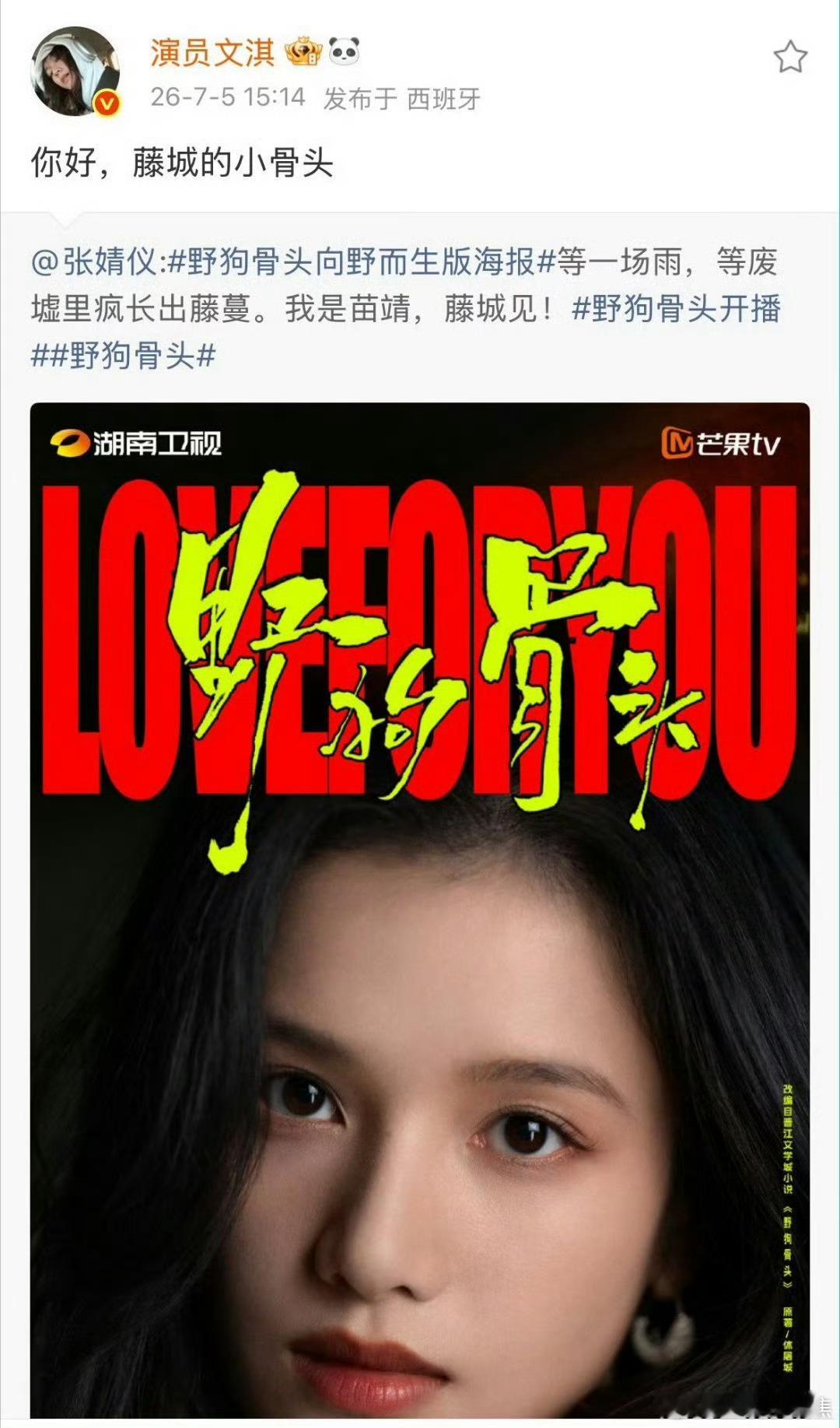 文淇宣完宋威龙的宣张婧仪的文淇端水式宣传野狗骨头文淇宣传宋威龙张婧仪野狗骨头做事