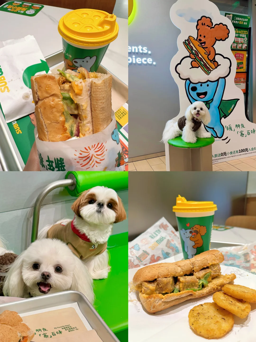 快来给小狗投喂年夜饭啦！