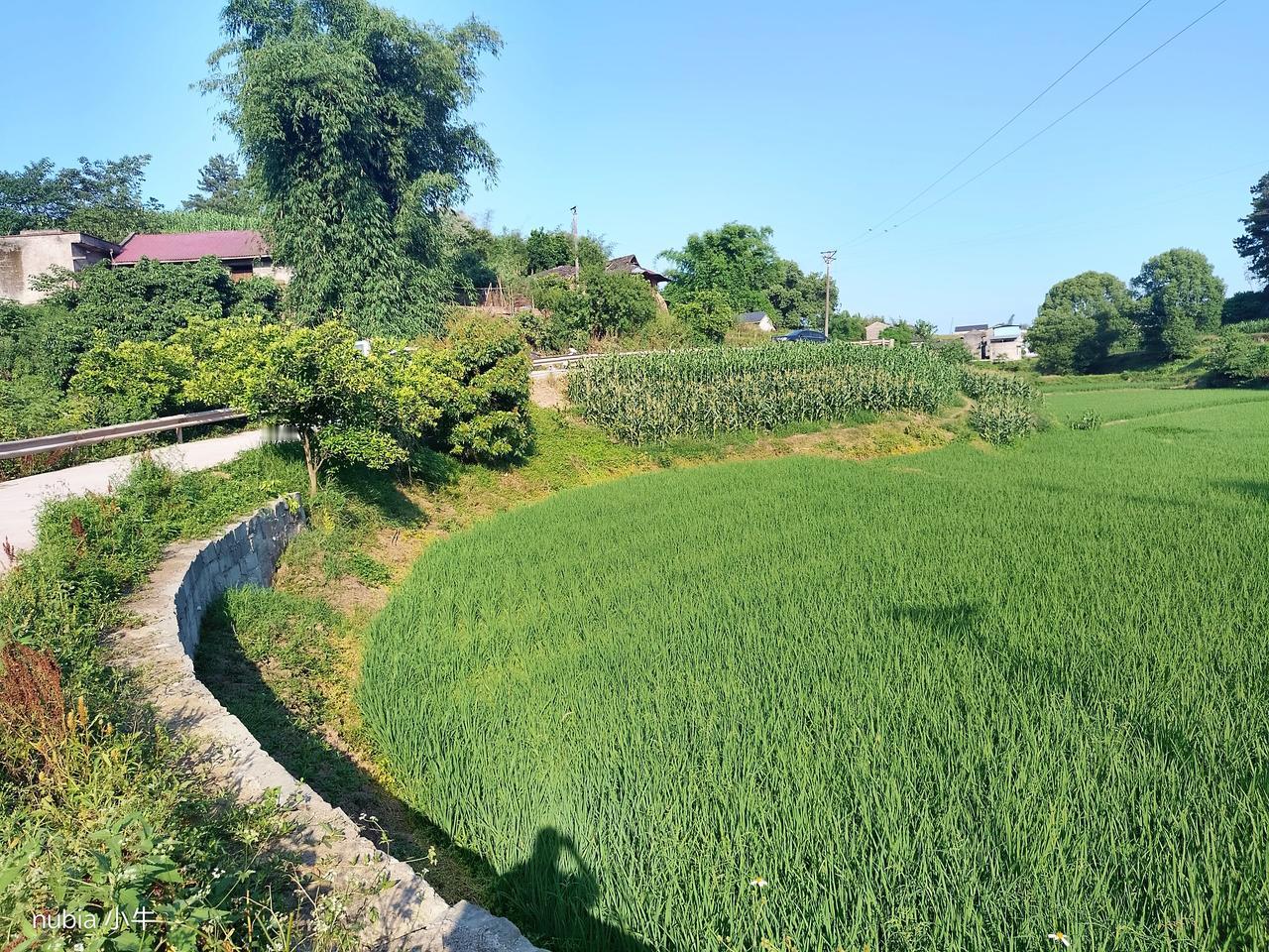 ​一对北京夫妻，卖房凑了350多万美金跑去美国，还拿了绿卡，不为入籍，只图给孩子