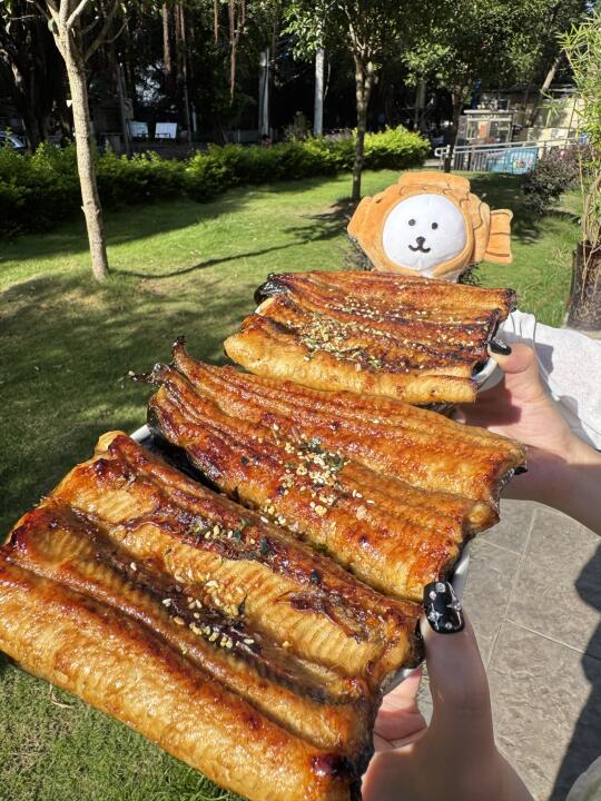 柳州。。。柳北社区食堂最好吃的鳗鱼饭