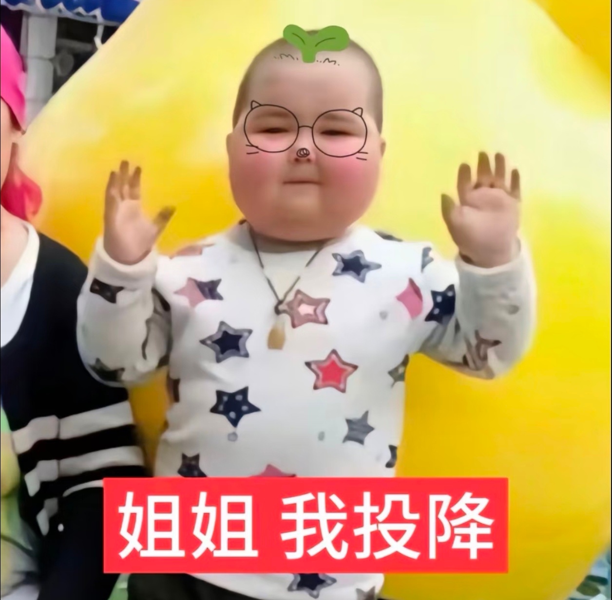 是猪猪 