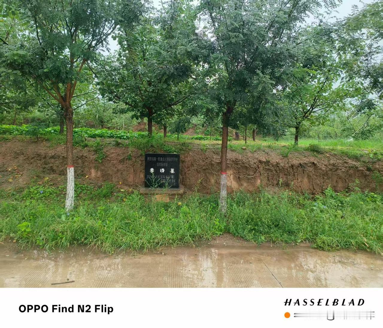 中国古代战神李靖，他的墓地竟在此：唐昭陵久嵕山下，公路旁，三座荒凉的封土堆前，仅