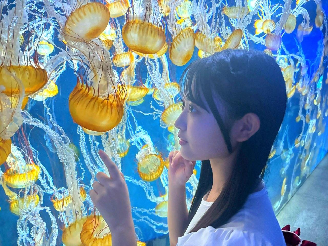 蔵盛妃那乃「はい、今回も松尾さんから受け取りましたよ。最近ふとした時に松尾の事考