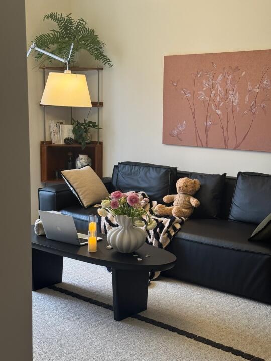 家居版🧺🐿️｜别不信 普通人也可以做博主～